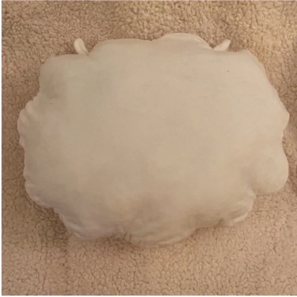 BT21 RJ Pillow